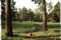 Open-Air Festival 